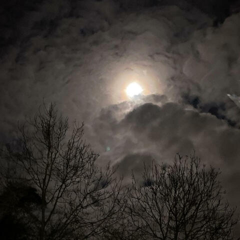 talking to the moon