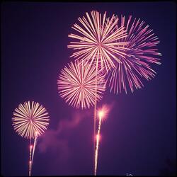 불꽃놀이 _ Fireworks(Korea)