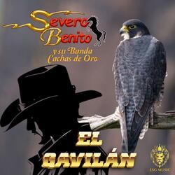 El Gavilán