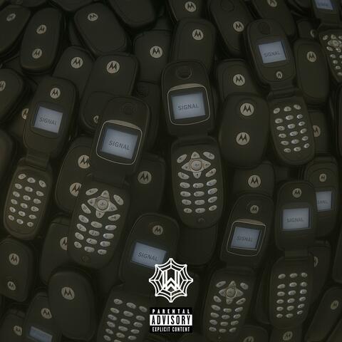 Phone Ringin