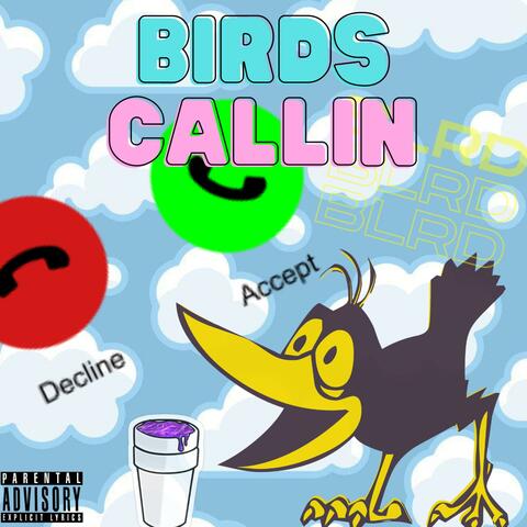 Birds Callin