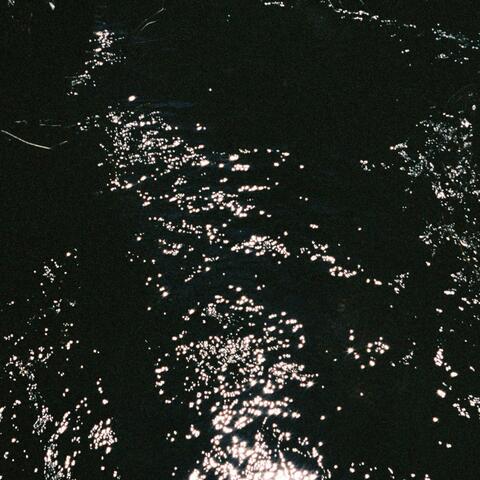 Blue Lotus