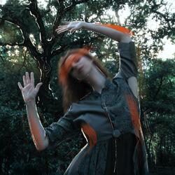 The Beauty In The Chaos