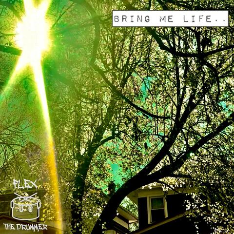 BRING ME LIFE