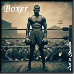 Boxer
