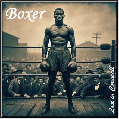 Boxer
