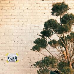 Waiting For The Paint To Dry