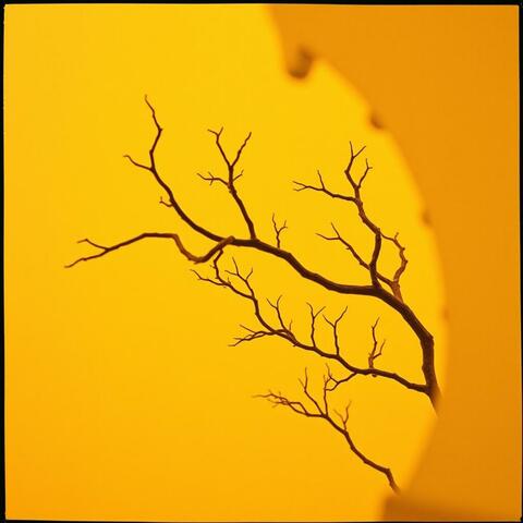Neon Mycelium
