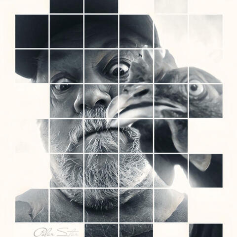 97