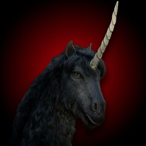Unicorn Sings A Song