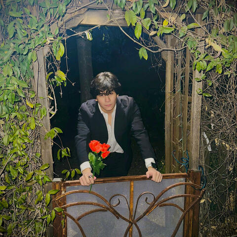 Lover (Tonight)