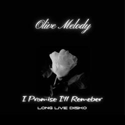 I Promise I'll Remember