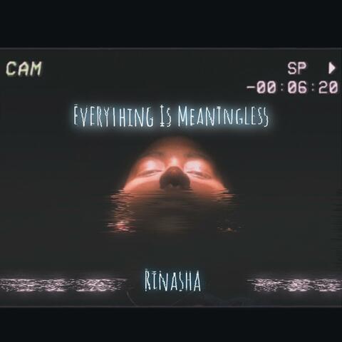 Everything Is Meaningless