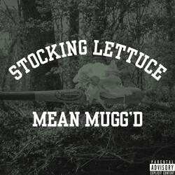 Stocking Lettuce