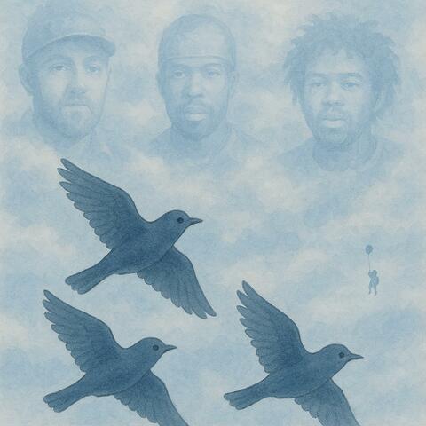 The Birdies