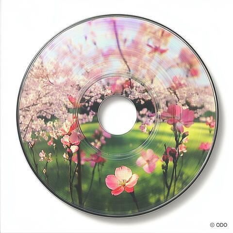 Cherry Blossom Overlay