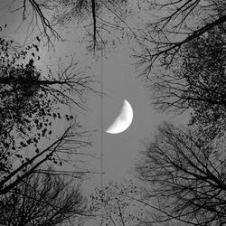 Echos Of Despair (Instrumental)