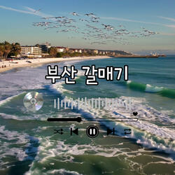 부산갈매기
