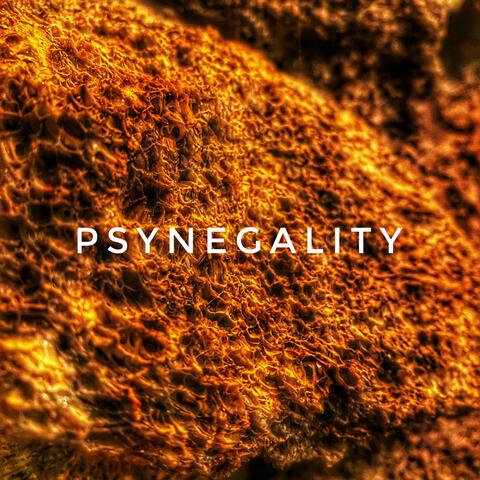 Psynegality