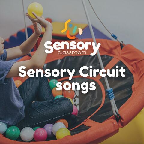 Sensory Circuit Songs