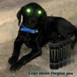 i can never forgive you (because i can never forgive myself)