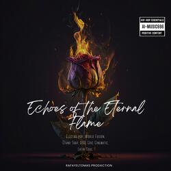 Where the Shadows Burn