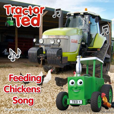 Feeding Chickens (From Feathered Friends)
