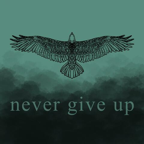 never give up