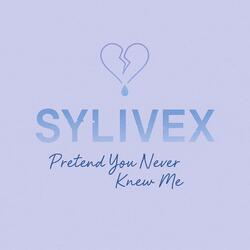 Pretend You Never Knew Me