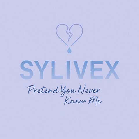 Pretend You Never Knew Me