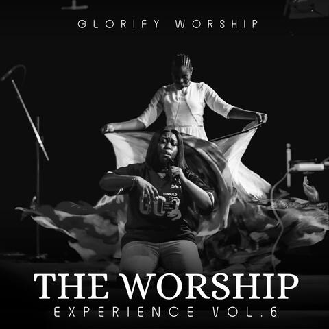 The Worship Experience, Vol. 6