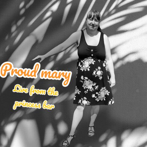 Proud Mary live from the princess bar glasgow (Live)