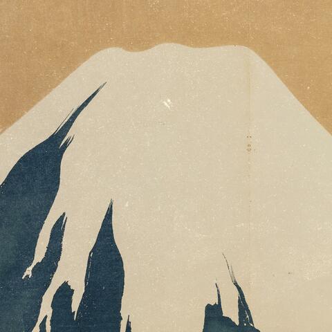 a fuji film,