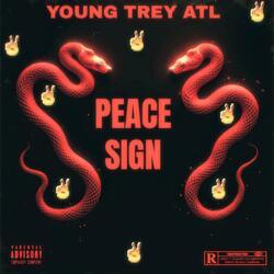 Peace Sign
