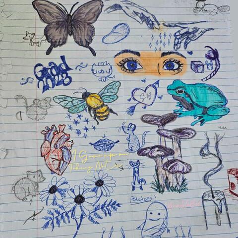 I Gave up on Taking Notes