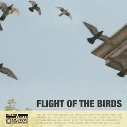 Flight of the Birds