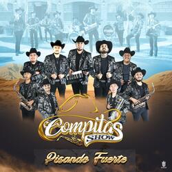 EL CORRIDO DE LA SIERRITA DE GAMON