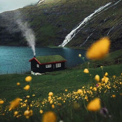 Silent and Cozy