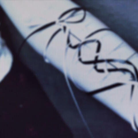 TUMBLR 20245