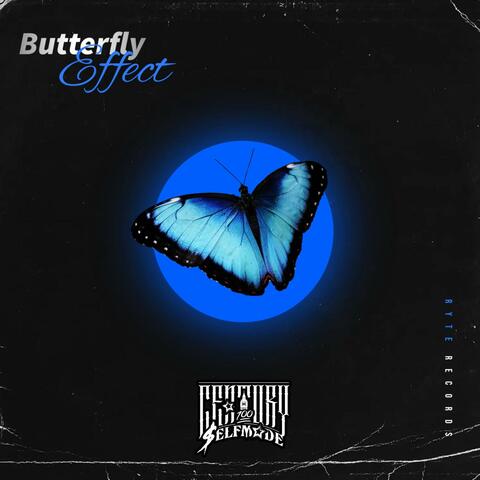 Butterfly Effect
