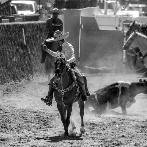 Charro Viejo