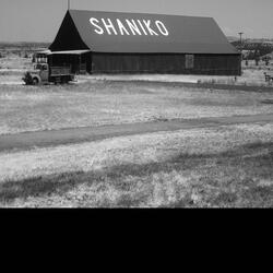 Shaniko