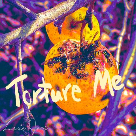 Torture Me