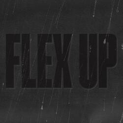 Flex Up