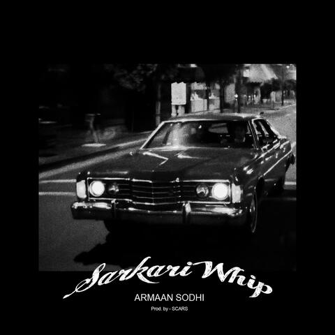 Sarkari whip