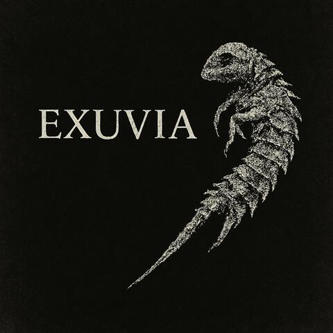Exuvia