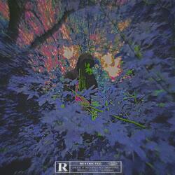 Imagine (feat. Kammeron Bridges)