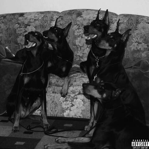 DOGS DONT SLEEP