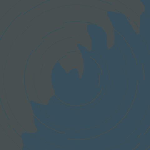 Follow Your Own Path