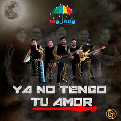 Ya no tengo tu amor